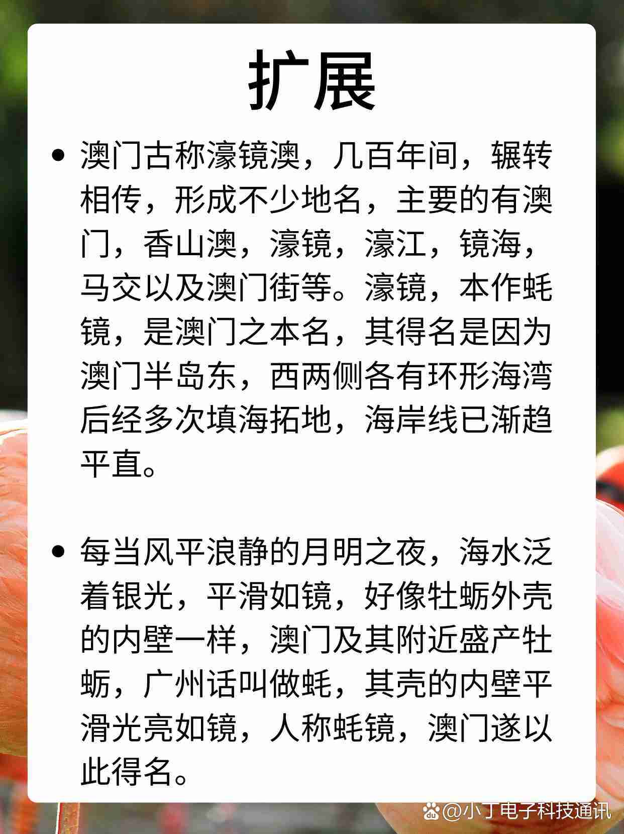 49图库澳门免费的资料,数据解释落实_整合版121,127.13