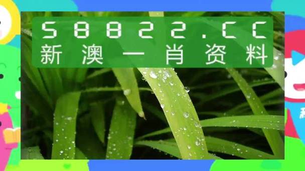 （2023澳门正版资料大全最新版本评价）