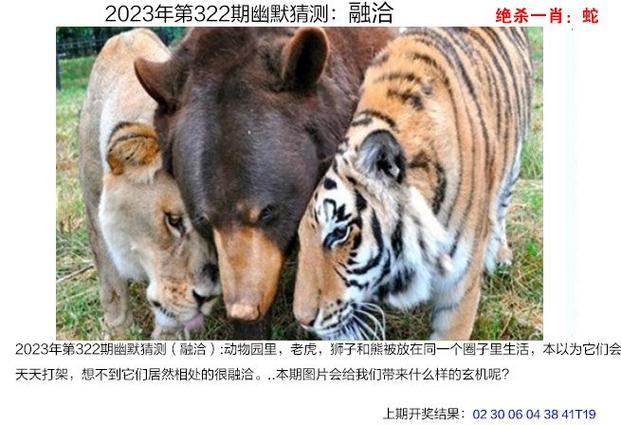 2023年澳门金牛版免费资料网，2023年澳门金牛版免费资料网亮点