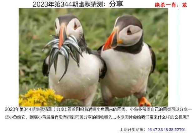 2023年澳门六合资料大全，